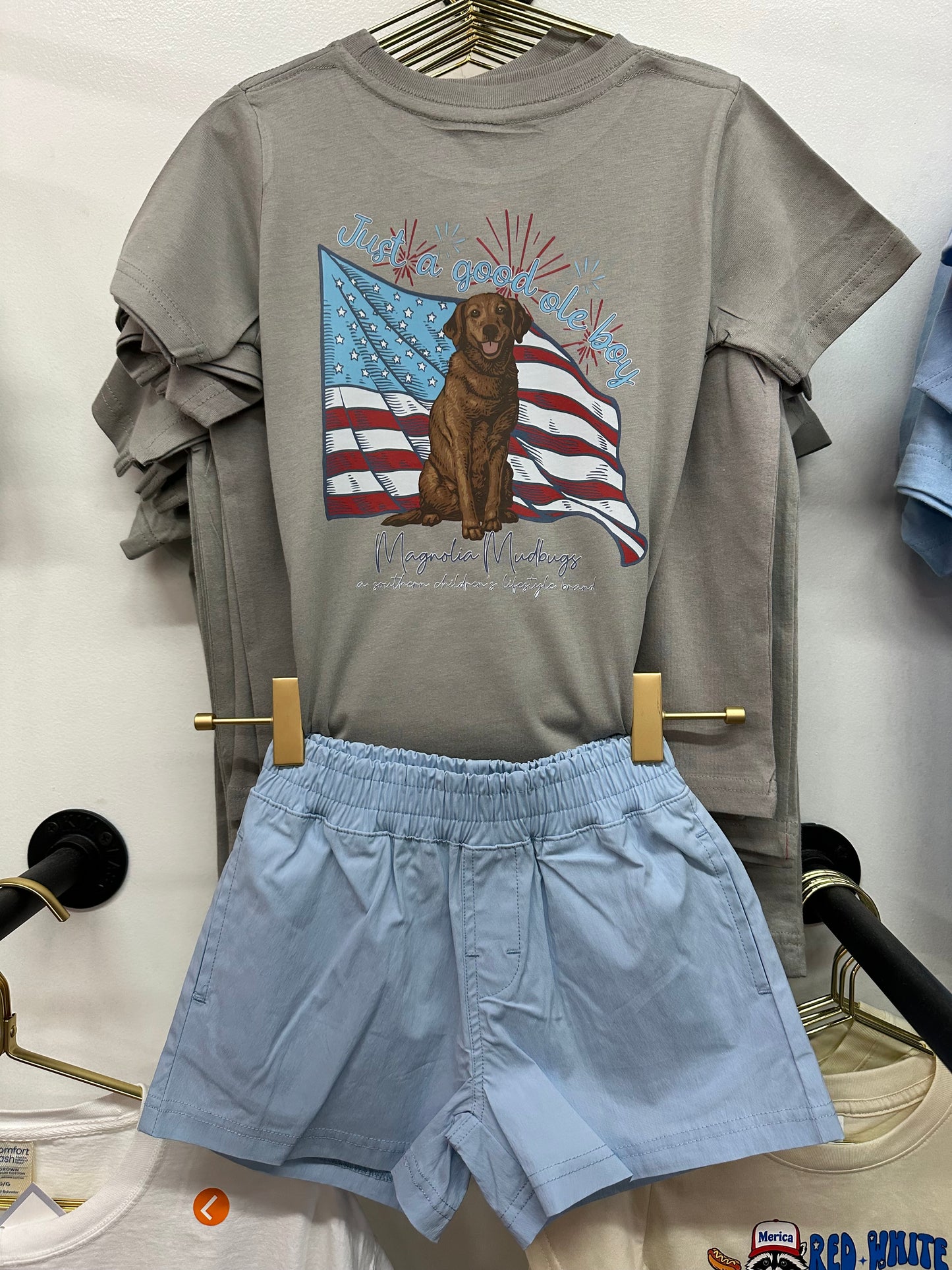 Good Ole Boy Patriotic Tee