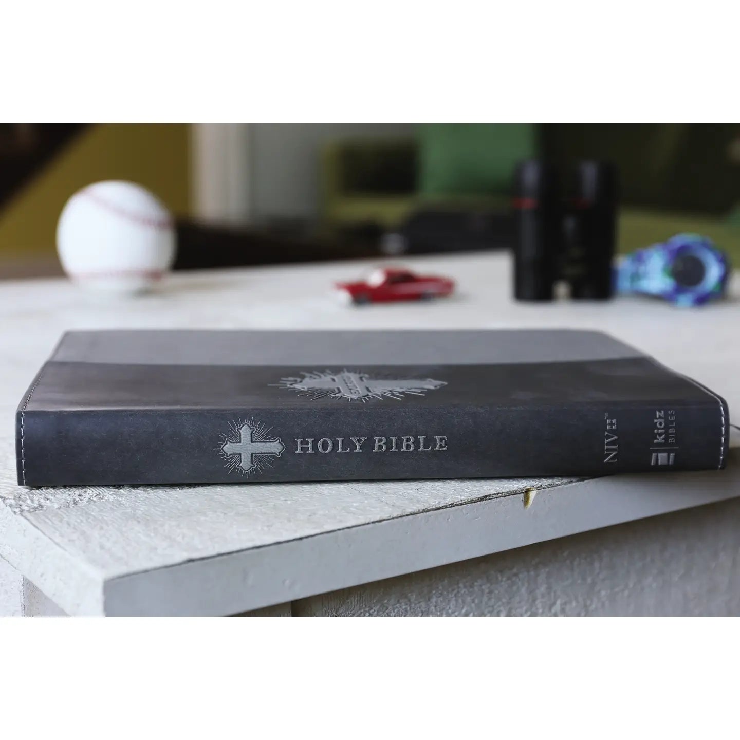 NIV Kids Bible