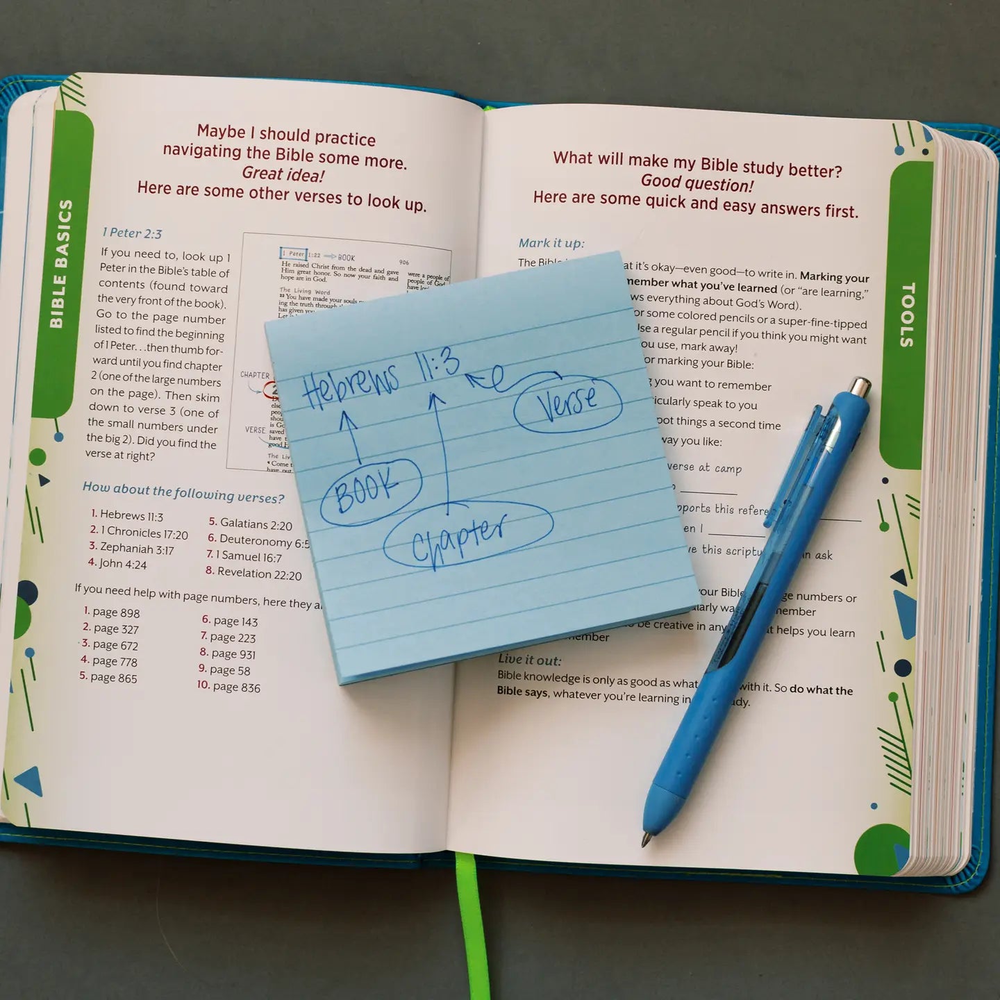 Know Your Bible NIV Study Bible for Kids (Blue)
