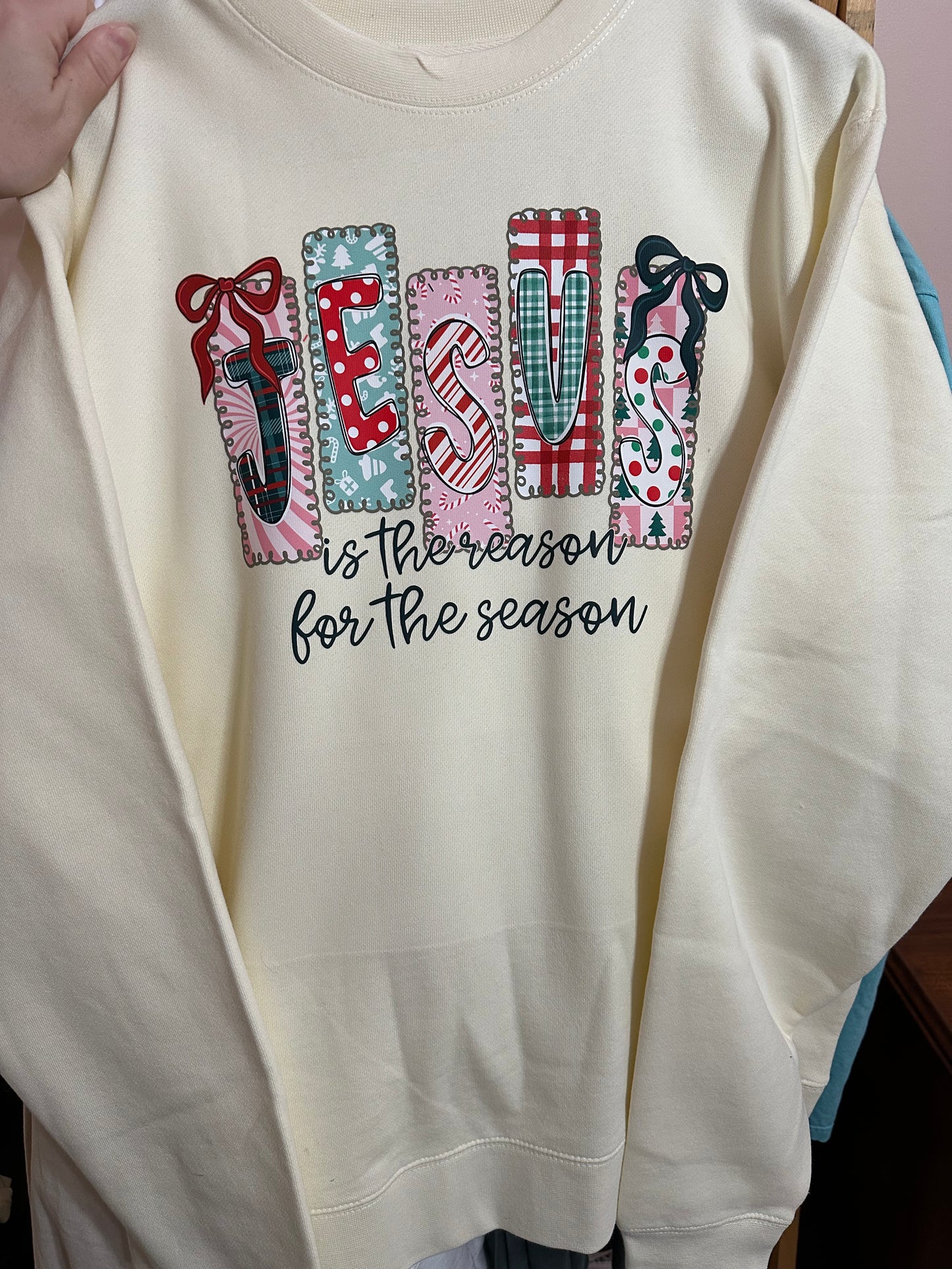 Jesus Is The Reason Sweatshirt